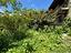 Immagine 18