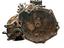 Immagine 3
