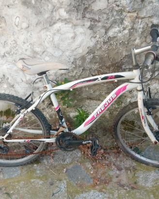 MTB Frejus 