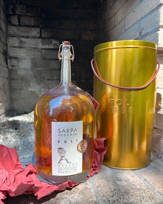 Grappa barricata Poli