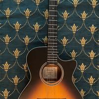 Chitarra acustica crafter HT-100CE OP