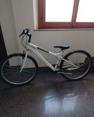 Bicicletta Cannondale da 10 anni in sù 