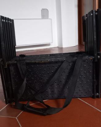 Rampa per cani
