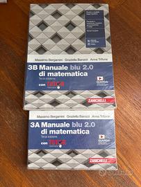 Libri scolastici fisica, inglese e matematica.