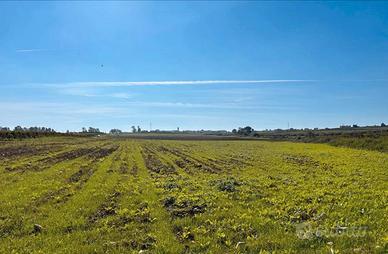 Nuova Cliternia-terreno di 27.800mq-Campomarino