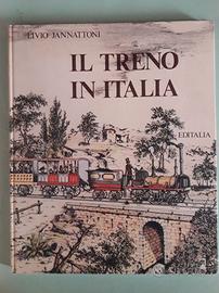 IL TRENO IN ITALIA + dono