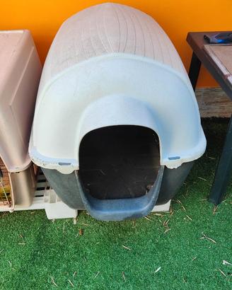 Cuccia e trasportino per cane taglia grande