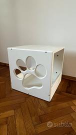 percorso gatti