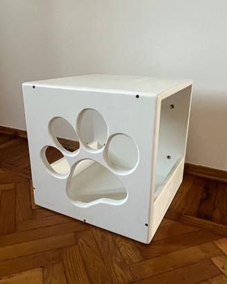 percorso gatti