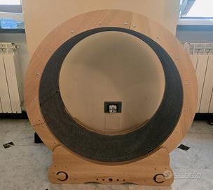 Ruota per gatti