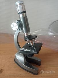Microscopio 