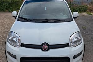 FIAT PANDA 1.0 FIREFLY S&S HYBRID 10/2023 CON 6198