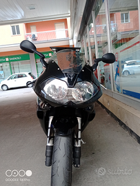 Triumph Daytona 955i