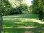 Immagine 7