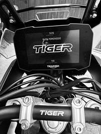 Triumph Tiger 900 gt pro
