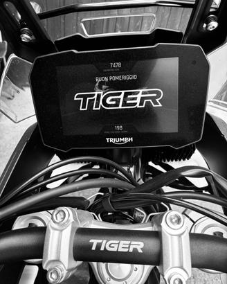 Triumph Tiger 900 gt pro