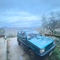 Fiat panda 4x4 (141)
