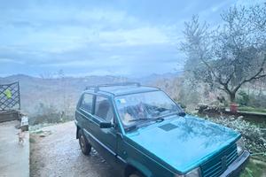 Fiat panda 4x4 (141)