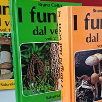 I funghi dal vero