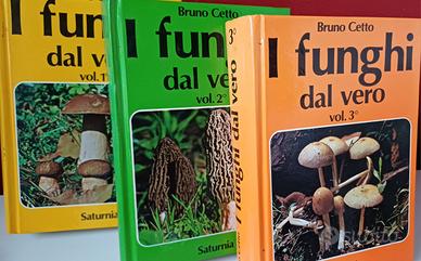 I funghi dal vero