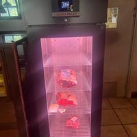 Vetrina frigo mantenitore/frollatore