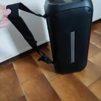 cassa con microfono 