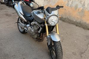 Honda Hornet