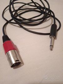 Cavo audio Jack  XLR