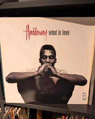 vinile Haddaway - What is love
