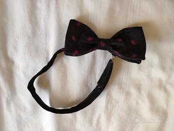 Papillon Paolo da Ponte 