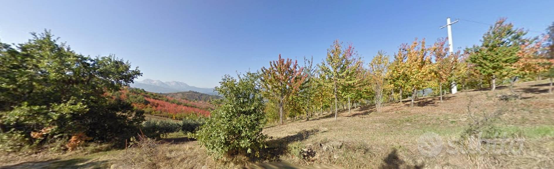 Terreno Agricolo - Teramo - Vista 3