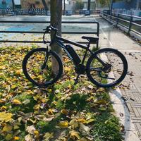 Bici elettrica (Touroll u1)