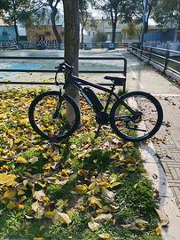 Bici elettrica (Touroll u1)