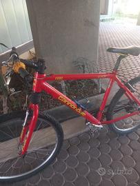 Cannondale  mtb