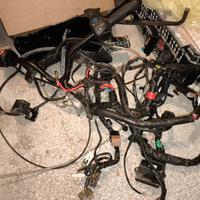 impianto elettrico completo Malaguti Password 