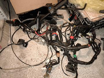 impianto elettrico completo Malaguti Password 