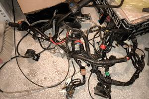 impianto elettrico completo Malaguti Password 