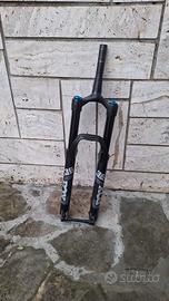 Forcelle fox rhythm 36