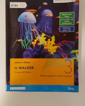 Walker 3 Fisica