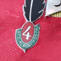 Spilla 4° BTG Alpini  " AOSTA " in argento 800