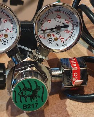 Regolatore di pressione e CO2 acquario