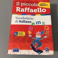 Dizionario il piccolo raffaello