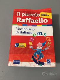 Dizionario il piccolo raffaello