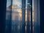 Immagine 20