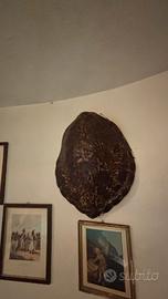 Grande Carapace Antico


