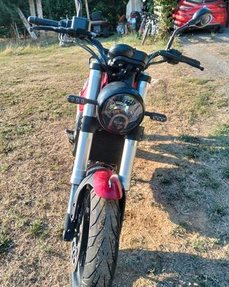 Leoncino Benelli 500