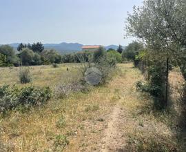 TER. AGRICOLO A QUARTUCCIU