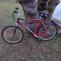 Bicicletta Mountain Bike