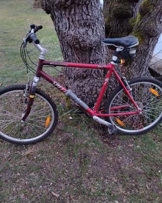 Bicicletta Mountain Bike