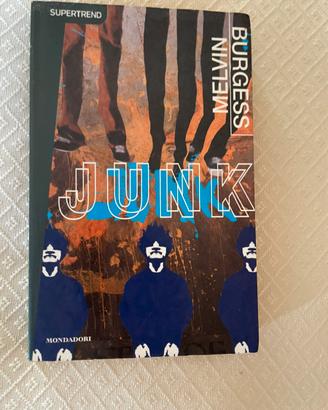 Melvin Burgess Junk